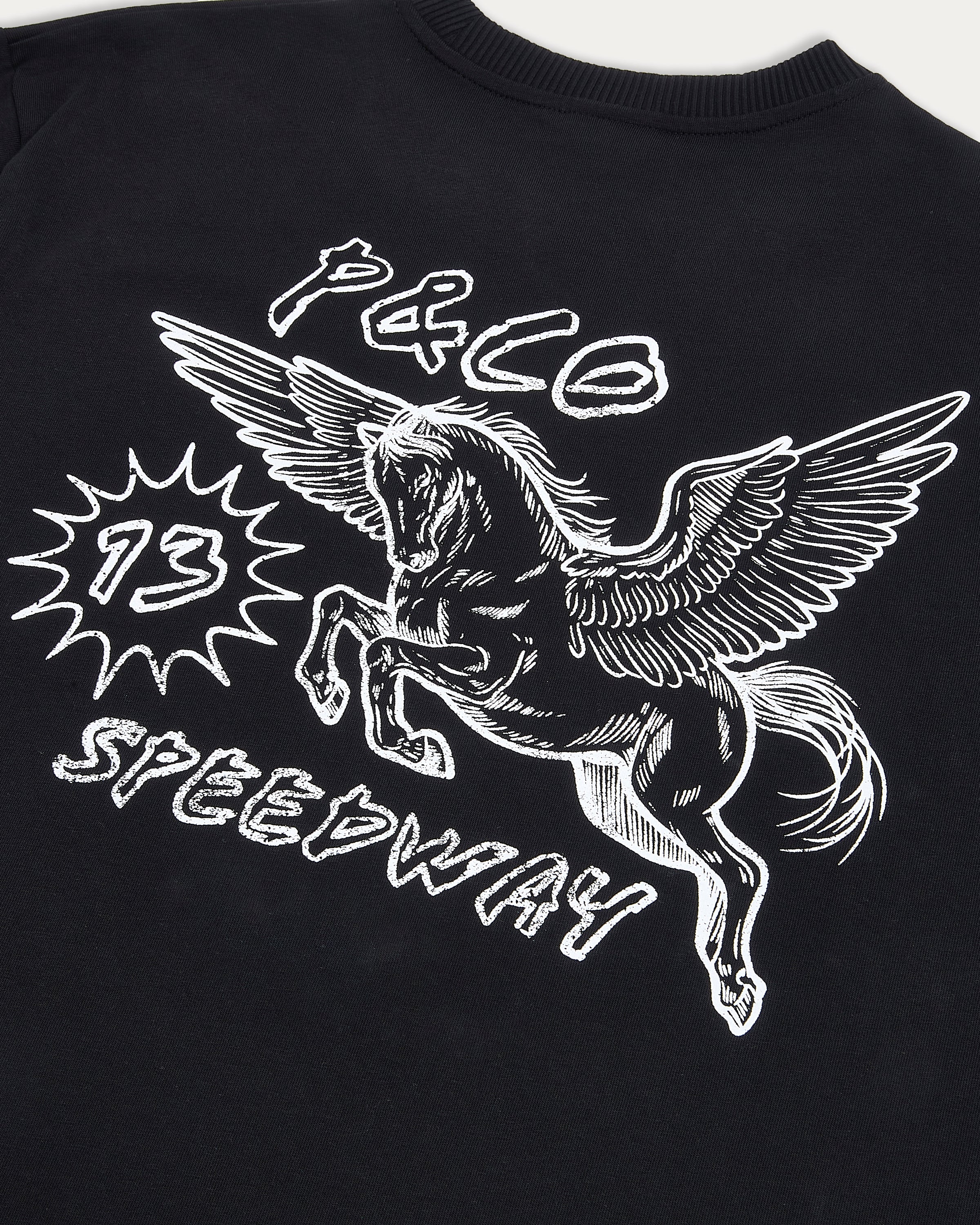 Pegasus Speedway Boxy T-Shirt - Washed Black - Image 4